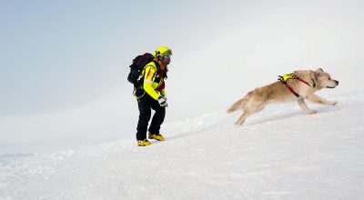 Cos’è la centrale unica